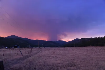 DSC_1836 (Large).JPG